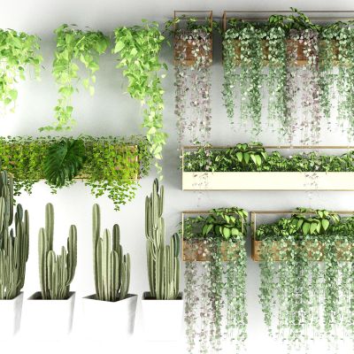 现代花槽阳台植物绿植