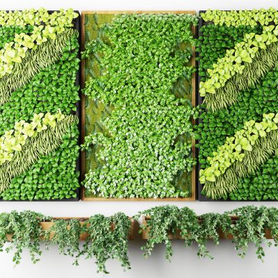 现代绿植墙