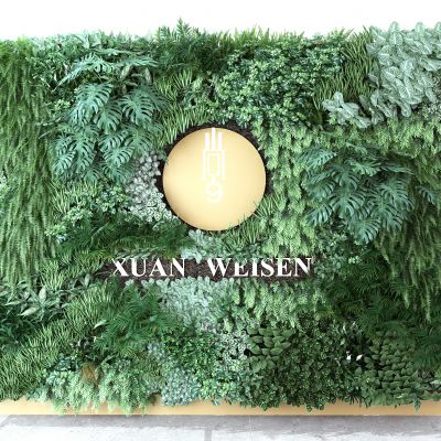 现代植物墙