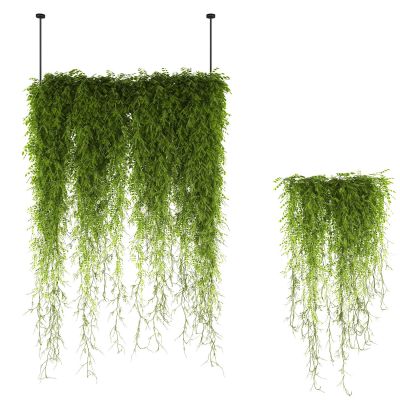 现代藤蔓植物绿植吊装植物