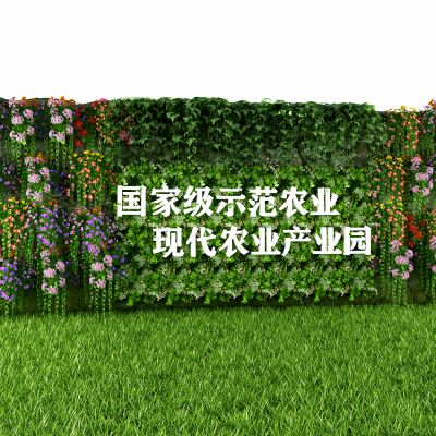 现代植物墙