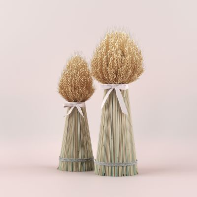 现代小麦稻草麦穗