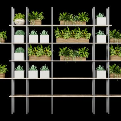 现代植物架