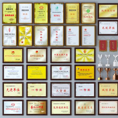 现代奖状奖杯荣誉墙锦旗