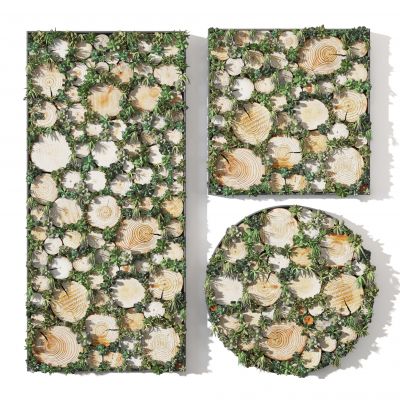 植物墙  背景墙