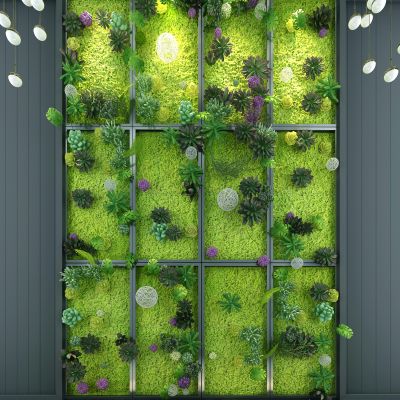 现代植物墙