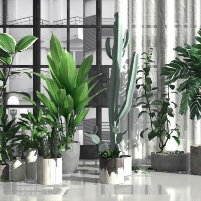 北欧绿植 盆栽 花草 树木