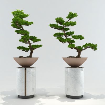 新中式松树盆栽