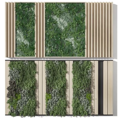 植物墙  装饰墙  