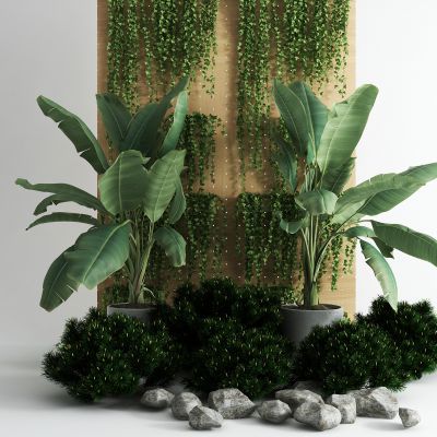 现代灌木树丛景观 藤蔓 芭蕉叶 植物  绿植