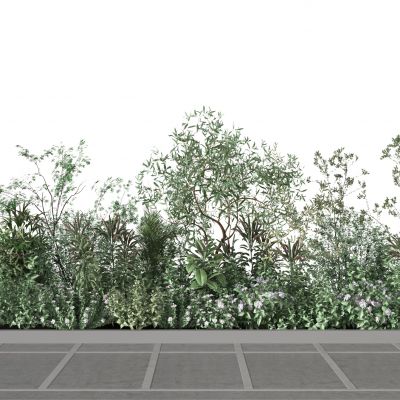 园林  植物堆  庭院 