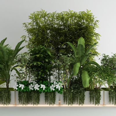 现代花坛 植物组合