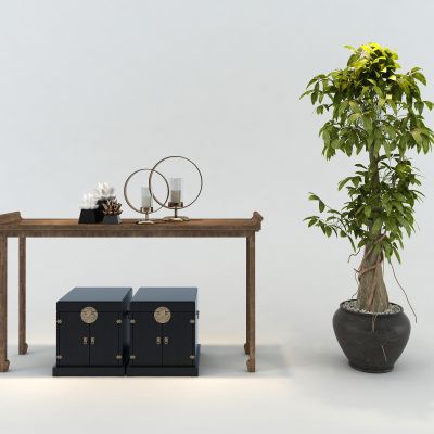 中式发财树  案几   箱子