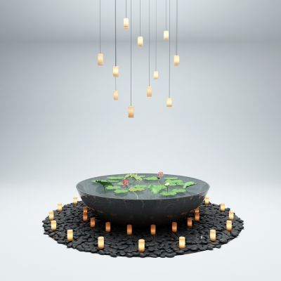 现代水景 水缸 荷花 吊灯