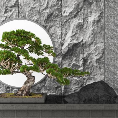 新中式庭院造景  松树   庭院