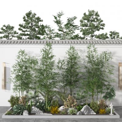 景观  植物堆 庭院 