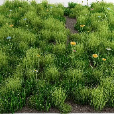 现代草地3D模型