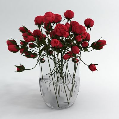 现代玫瑰花瓶