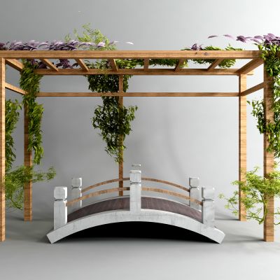 现代小桥 廊架 藤蔓 植物树