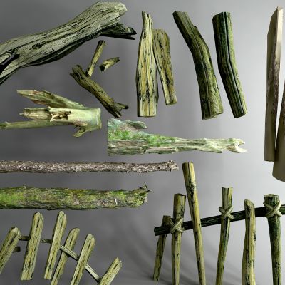 现代腐木 老木头 枯树枝