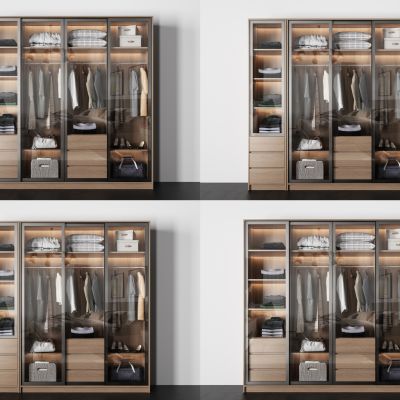 现代衣柜 玻璃衣服 行李包 衣架 盒子 柜子