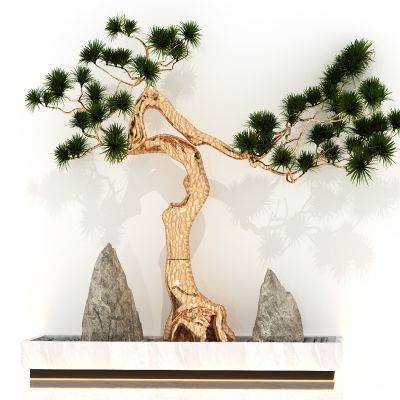 现代玄关景观小品，入户景观，景观山石，迎客松，石头，盆景