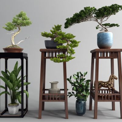 新中式花架松树盆景
