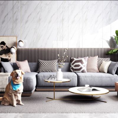 现代轻奢沙发茶几组合