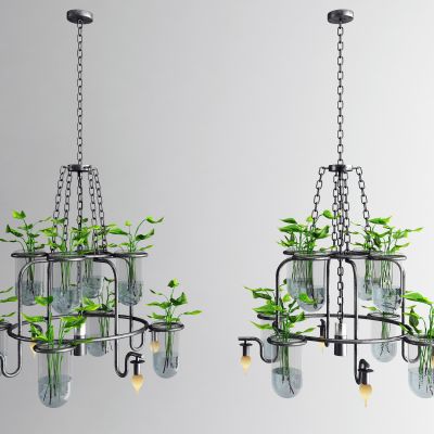 现代植物吊灯