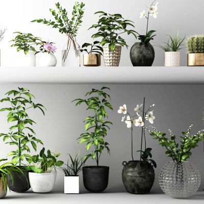 北欧植物花草盆栽花草盆景组合