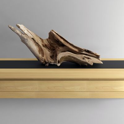 现代老木头 枯枝