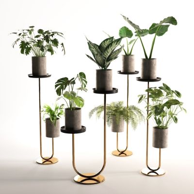 现代绿植盆栽组合