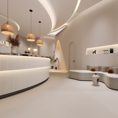 现代美容SPA店，现代美容会所，美容会所，前台，spa