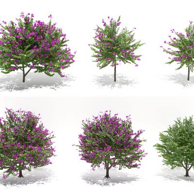 现代户外景观树