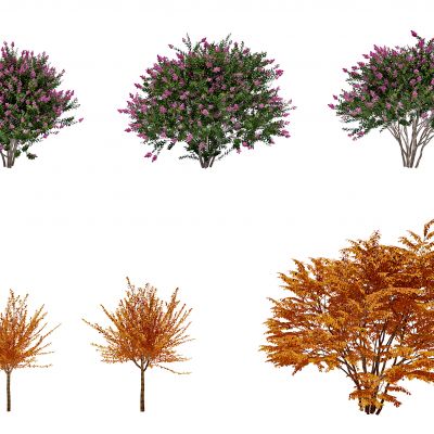 现代户外景观树