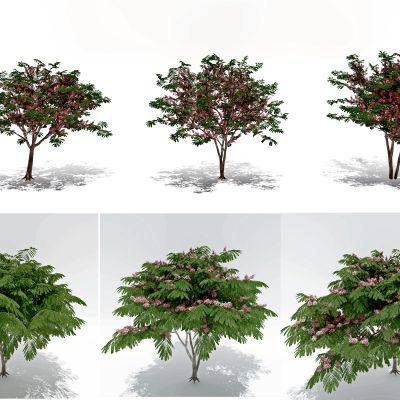 现代户外景观树