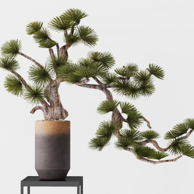 新中式盆栽 松树 摆件