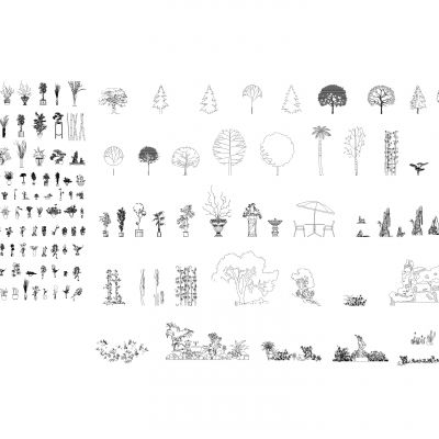 绿化植物立面图库