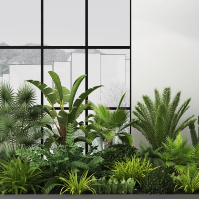 现代绿植 热带植物 绿植池