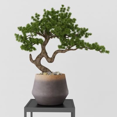 新中式松树摆件 松树盆景  盆栽
