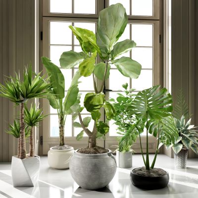 现代植物盆栽 现代饰品摆件