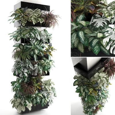 现代绿植植物墙组合