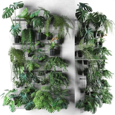 现代绿植盆栽植物墙组合