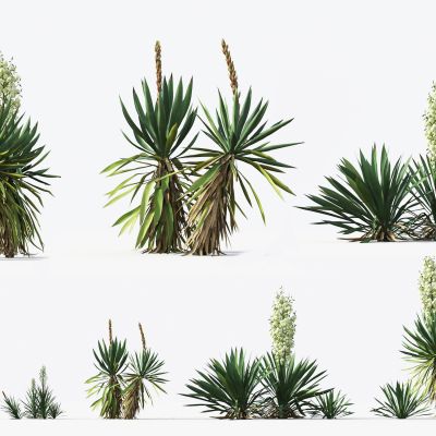 现代植物 灌木 棕榈树 花草 热带植物 花坛