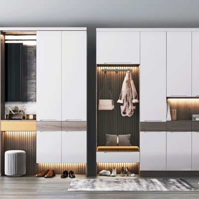 现代多功能鞋柜