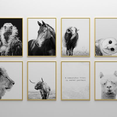 现代非洲野外动物装饰挂画 山羊 羊驼 猫头鹰 牛 老鹰 狮子马