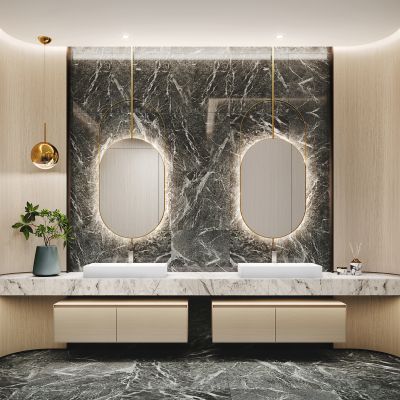 现代卫生间 洗手间 镜子 洗手台 吊灯 植物绿植