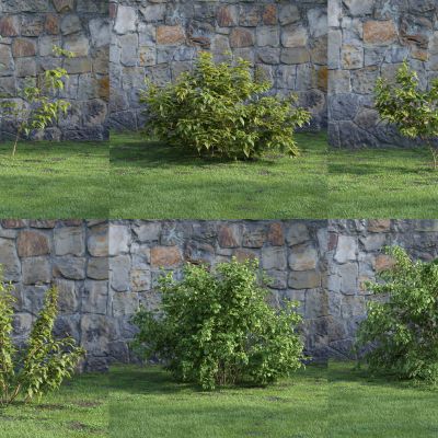 现代灌木 花草 绿植 花坛 景观植物 绿篱