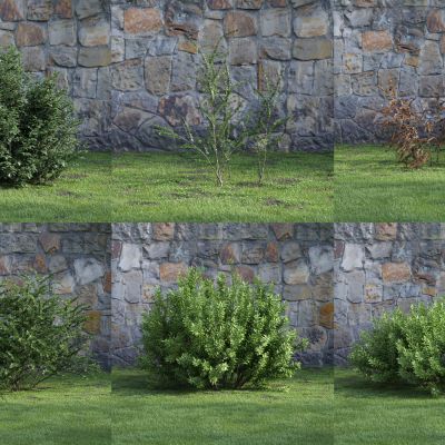 现代灌木 花草 绿植 花坛 景观植物 绿篱