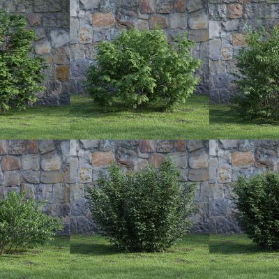 现代灌木 花草 绿植 花坛 景观植物 绿篱